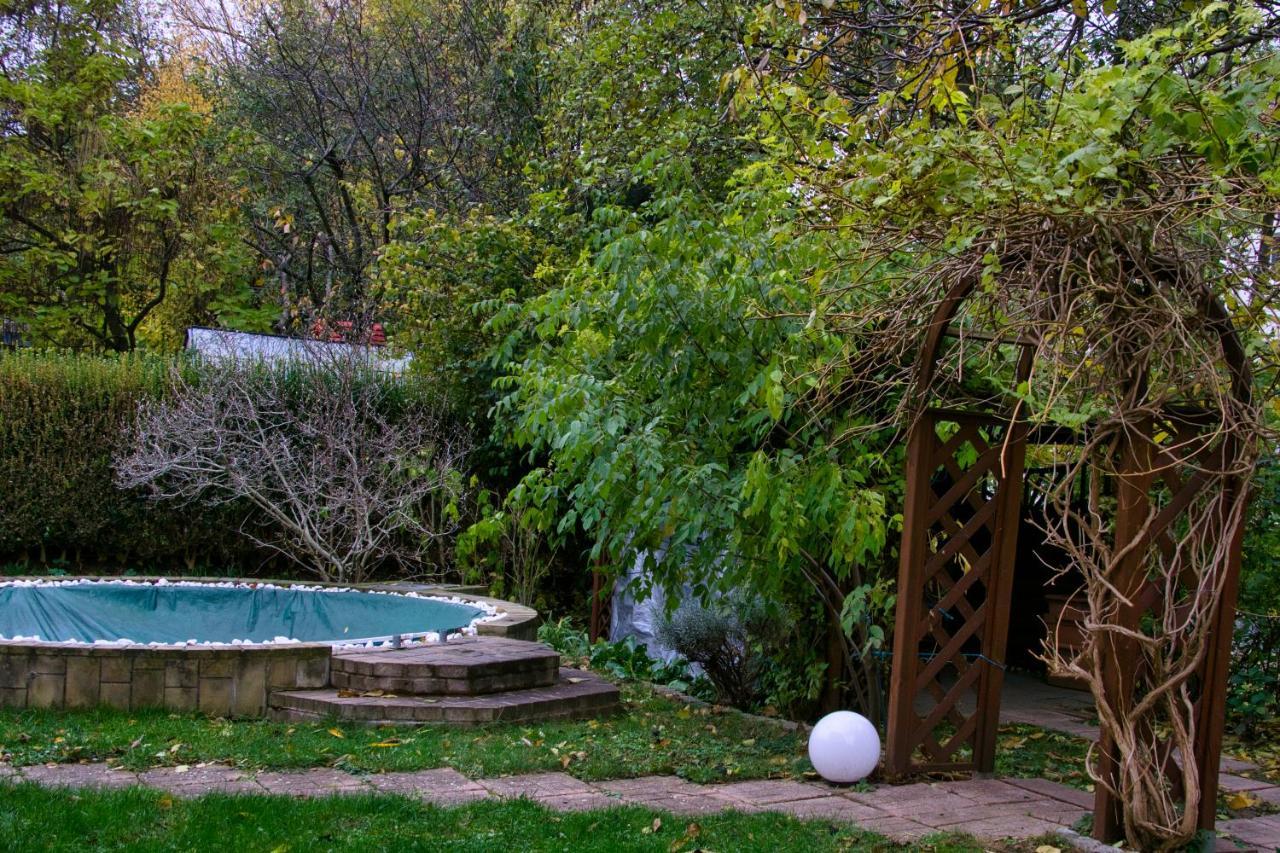 Mycozyplace - Gemuetliches Zimmer Fuer Zwei Dresda Exterior foto